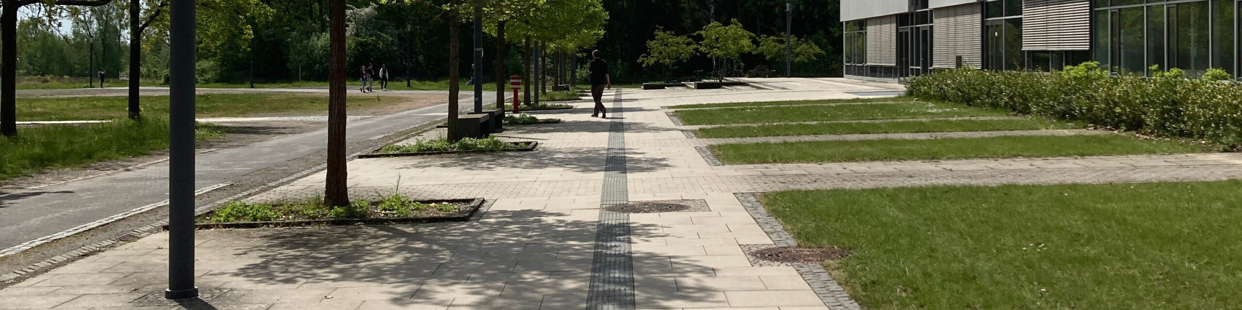 Header-Impressum_weg_ziel-min-scaled